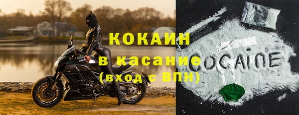 COCAINE Богородицк